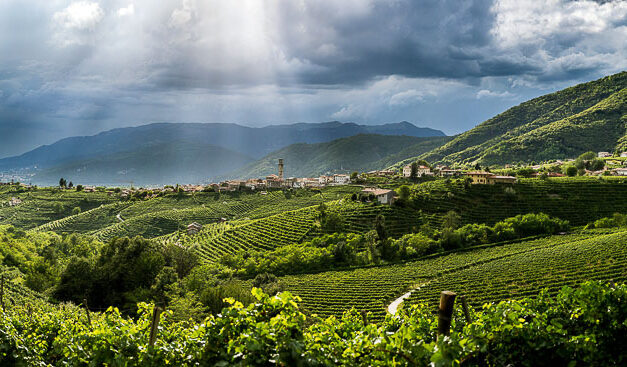 COLLINE DEL PROSECCO PATRIMONIO UNESCO