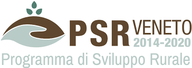 PSR Veneto: corso di formazione “Arboricoltura da legno”