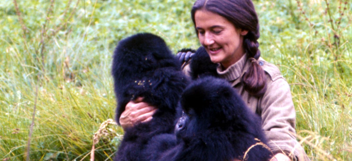 GIORNALmente – 16 gennaio: Dian Fossey