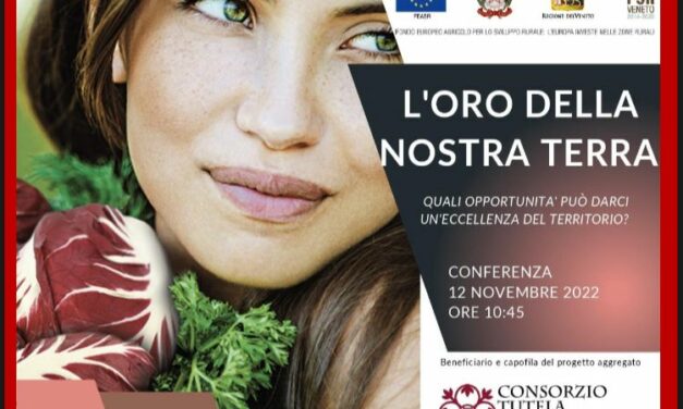 Verona ospita il concorso gastronomico “Radicchio D’argento 2022”