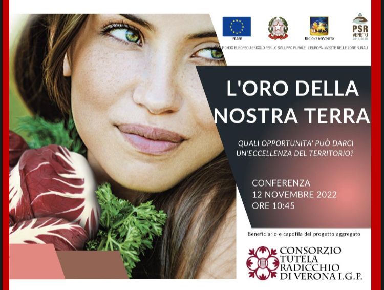 Verona ospita il concorso gastronomico “Radicchio D’argento 2022”