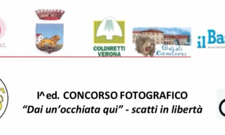 Concorso fotografico “Dai un’occhiata qui” – scatti in libertà