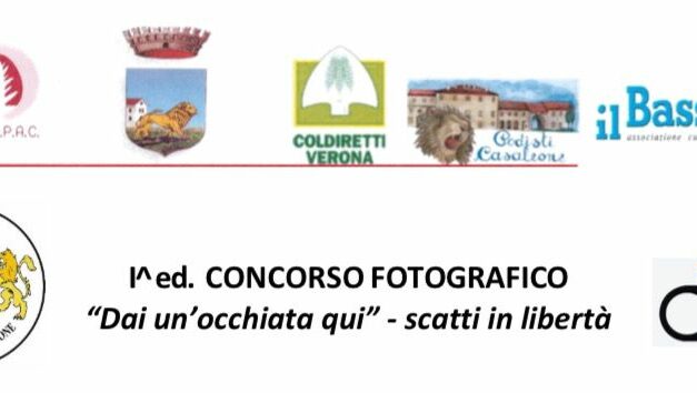 Concorso fotografico “Dai un’occhiata qui” – scatti in libertà