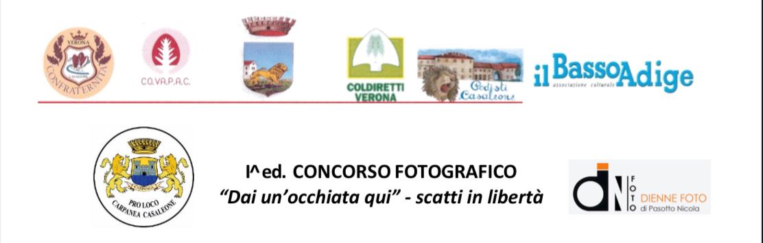 Concorso fotografico “Dai un’occhiata qui” – scatti in libertà