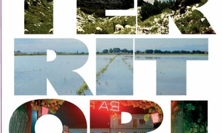 Rassegna “TERRITORI” a Nogara dal 7 al 22 maggio