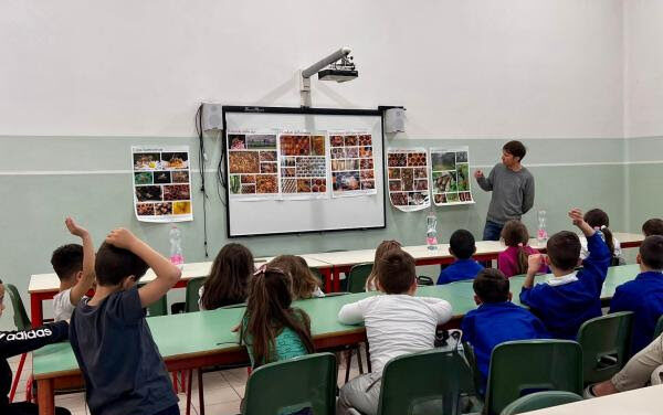 Coldiretti, la voce dei campi entra in classe a Castagnaro