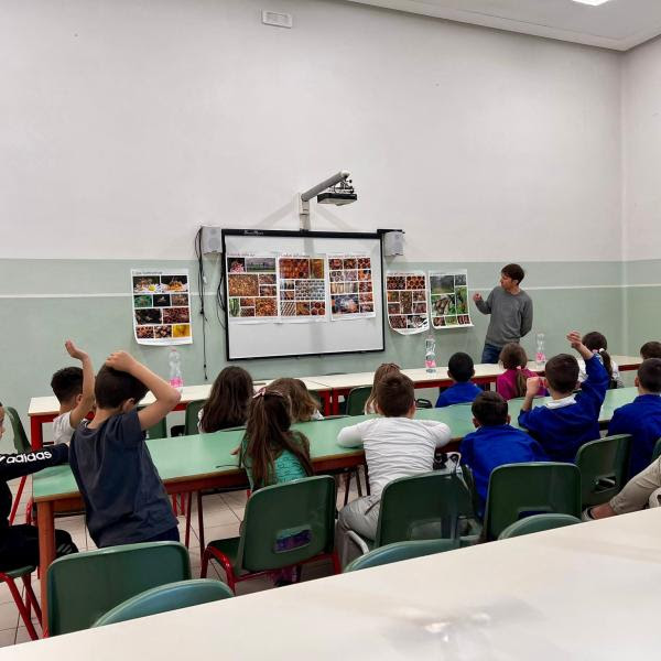 Coldiretti, la voce dei campi entra in classe a Castagnaro