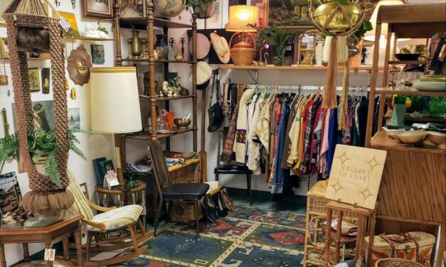 Il ritorno del vintage