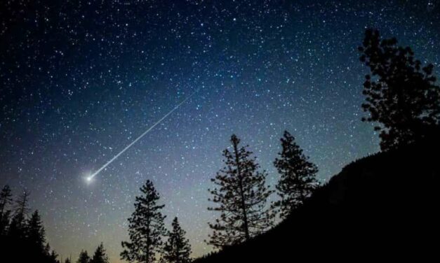 Gli eventi “stellari” a San Lorenzo
