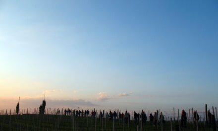 Germinale Monferrato Art Fest