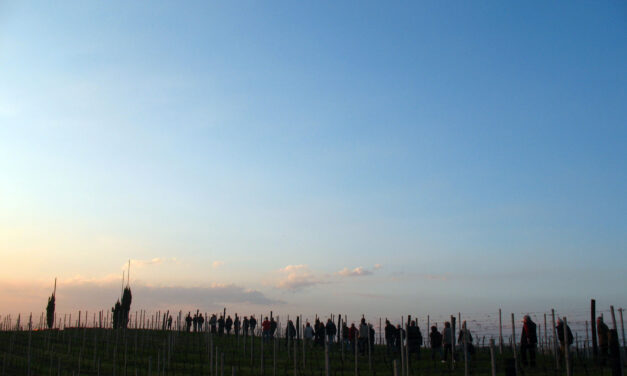 Germinale Monferrato Art Fest