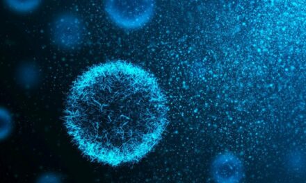 Microrganismi Effettivi, la rivoluzione invisibile che può rigenerare il Pianeta
